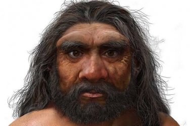 images.jpeg images.jpeg