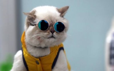 images.jpeg images.jpeg