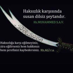 images (12).jpeg images (12).jpeg